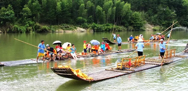 泼一盆幸福吉祥水，享一夏快乐与清凉(图10)