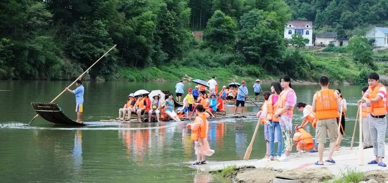 泼一盆幸福吉祥水，享一夏快乐与清凉(图13)