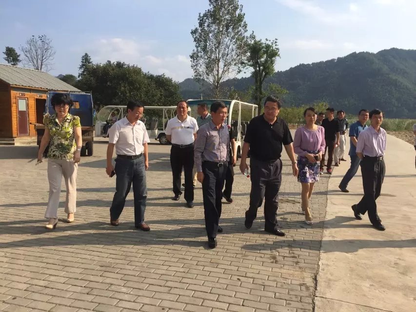 胡南亭来白马潭景区调研旅游工作(图2) 胡南亭来白马潭景区调研旅游工作(图2)