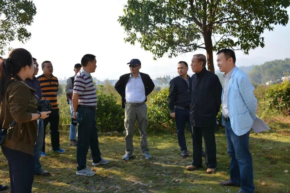 安徽华汉旅旅游规划及专家组来黑虎瀑景区考察(图3)