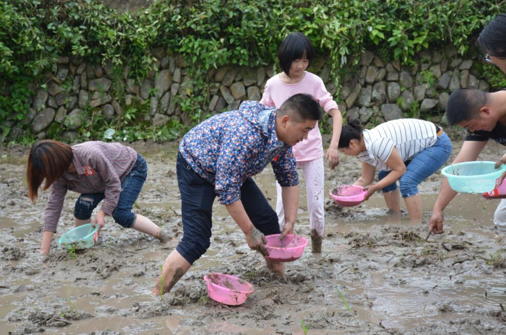 天柱山白马潭首届农耕文化旅游节开幕式（组图）(图22)