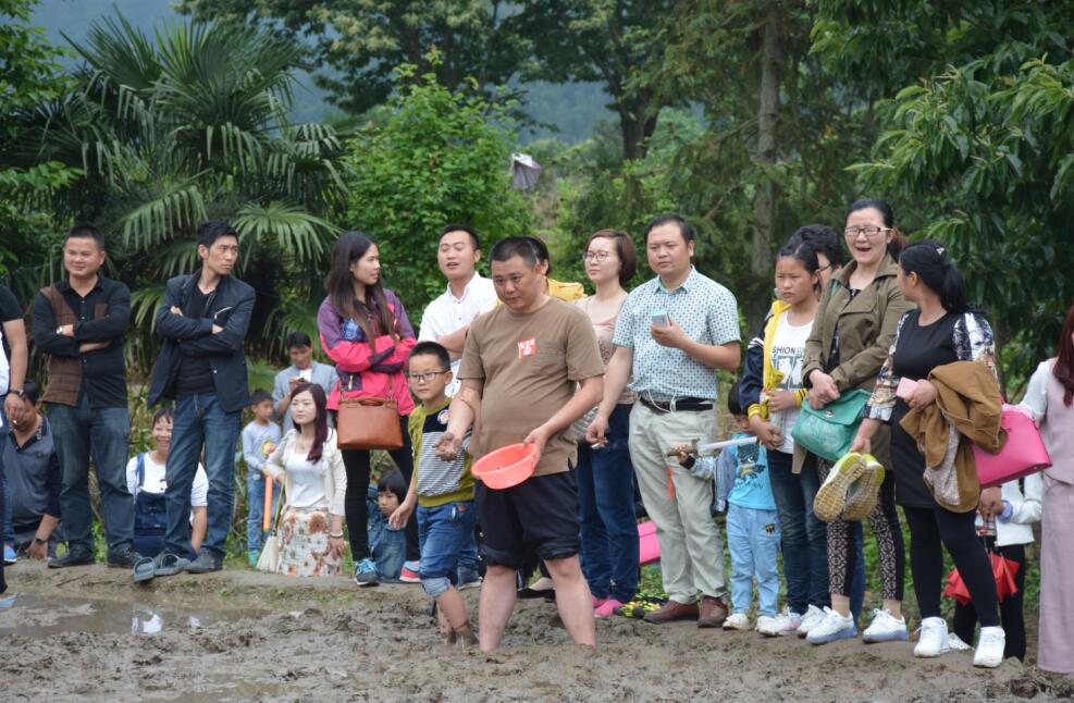 周日去插田—— 天柱山白马潭首届农耕文化旅游节开幕(图13)