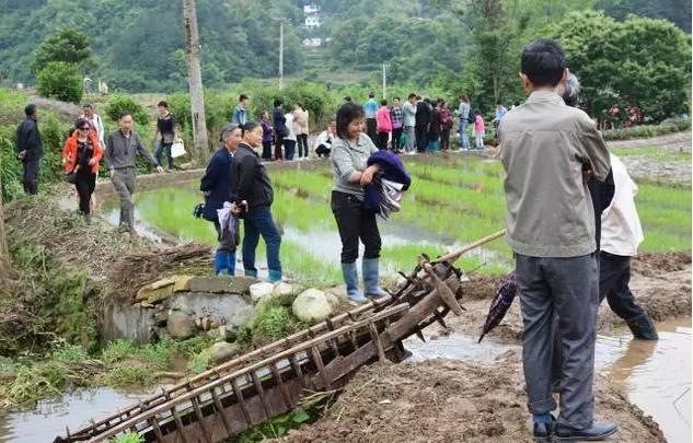 农事体验最“接地气”--天柱山白马潭首届农耕文化旅游节完美收官(图12)