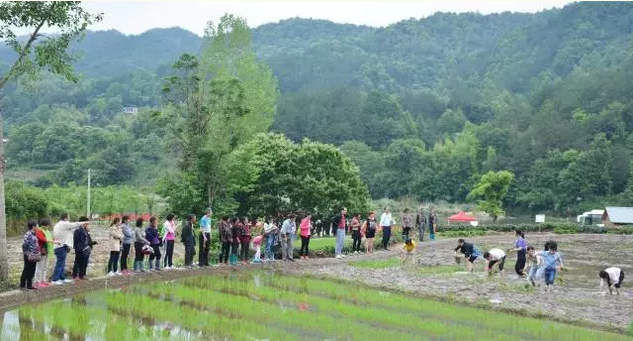 农事体验最“接地气”--天柱山白马潭首届农耕文化旅游节完美收官(图9)